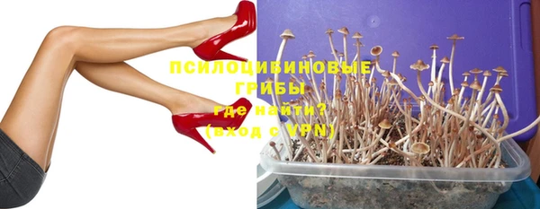 PSILOCYBIN Белоозёрский