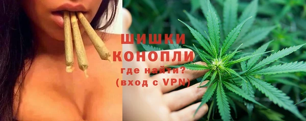PSILOCYBIN Белоозёрский