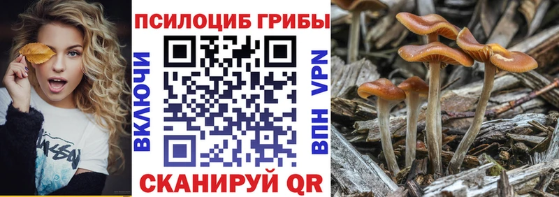 Псилоцибиновые грибы GOLDEN TEACHER  blacksprut как войти  Горно-Алтайск 